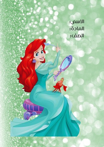 دزني ١٧